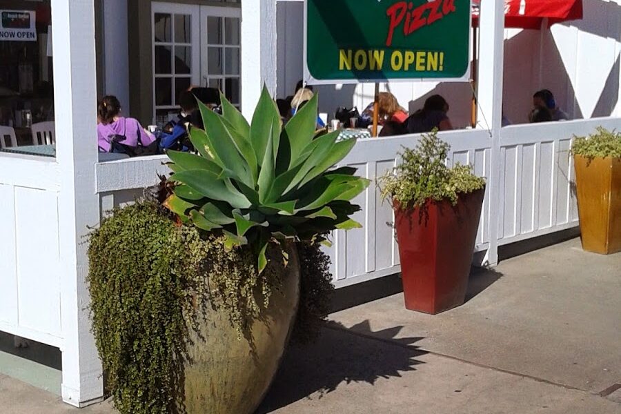 Beach Harbor Pizza